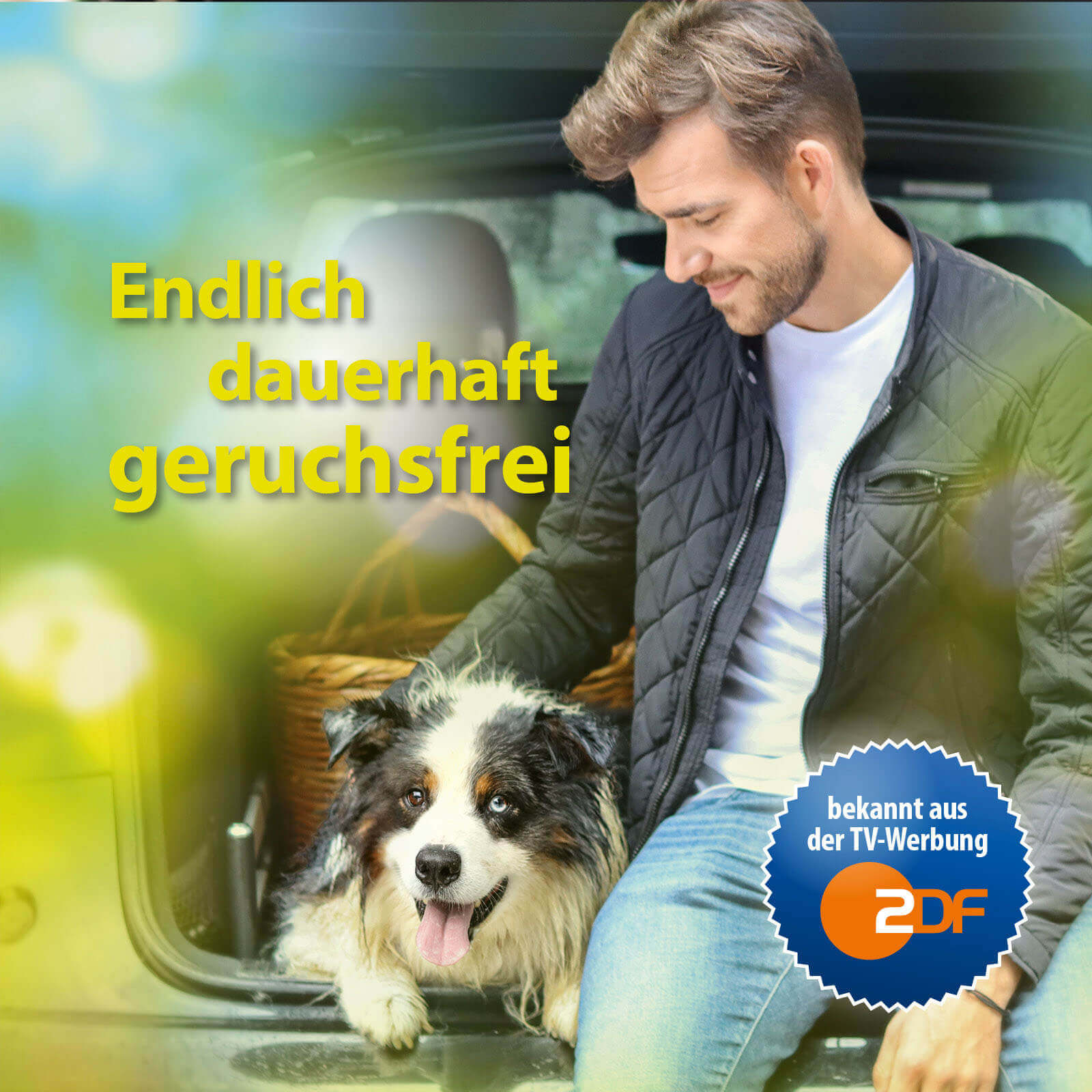 Bactador Geruchs- und Fleckenentferner Enzymreiniger 3er Pack
