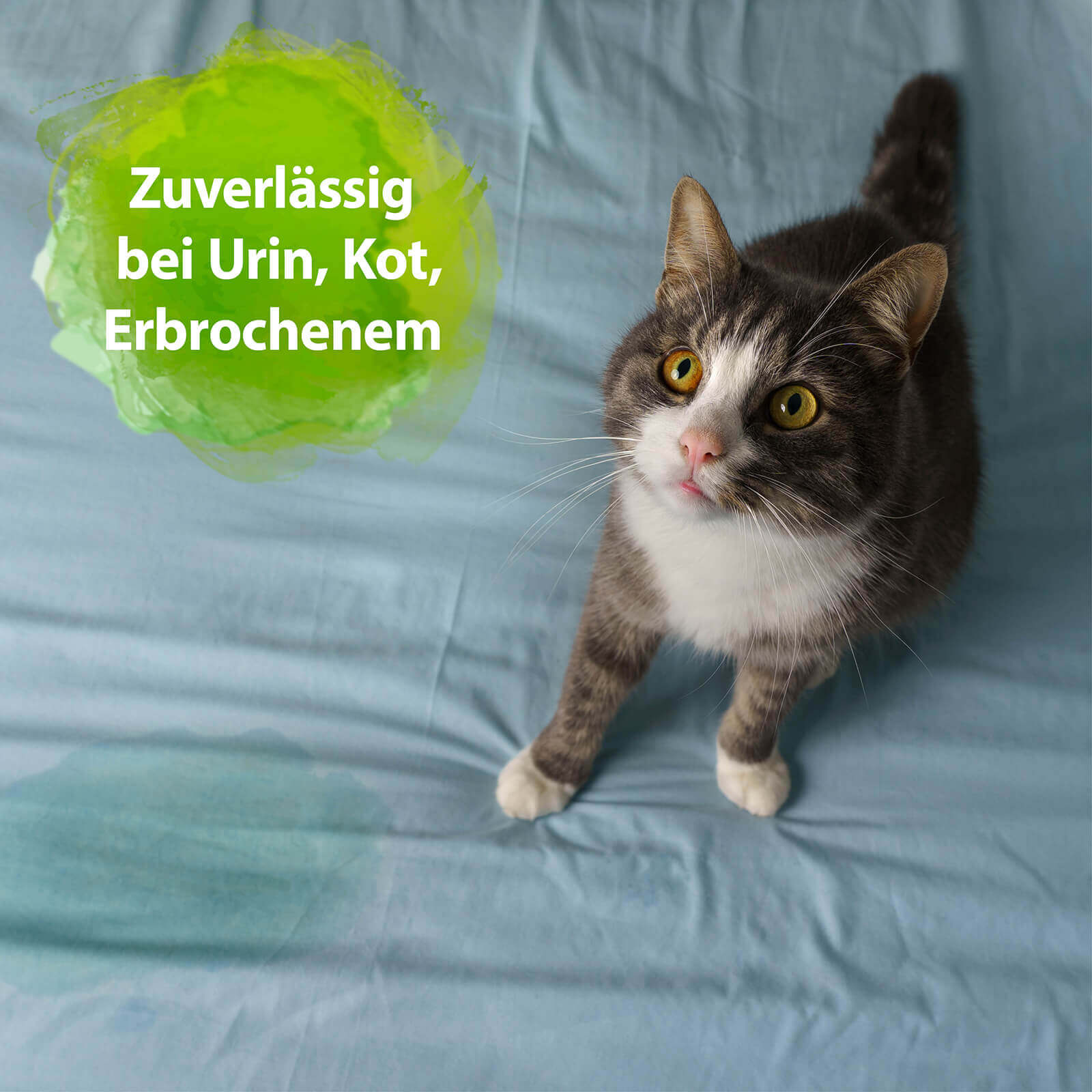 Bactador Wäschespülung Geruchsentferner 1 Liter probiotisch