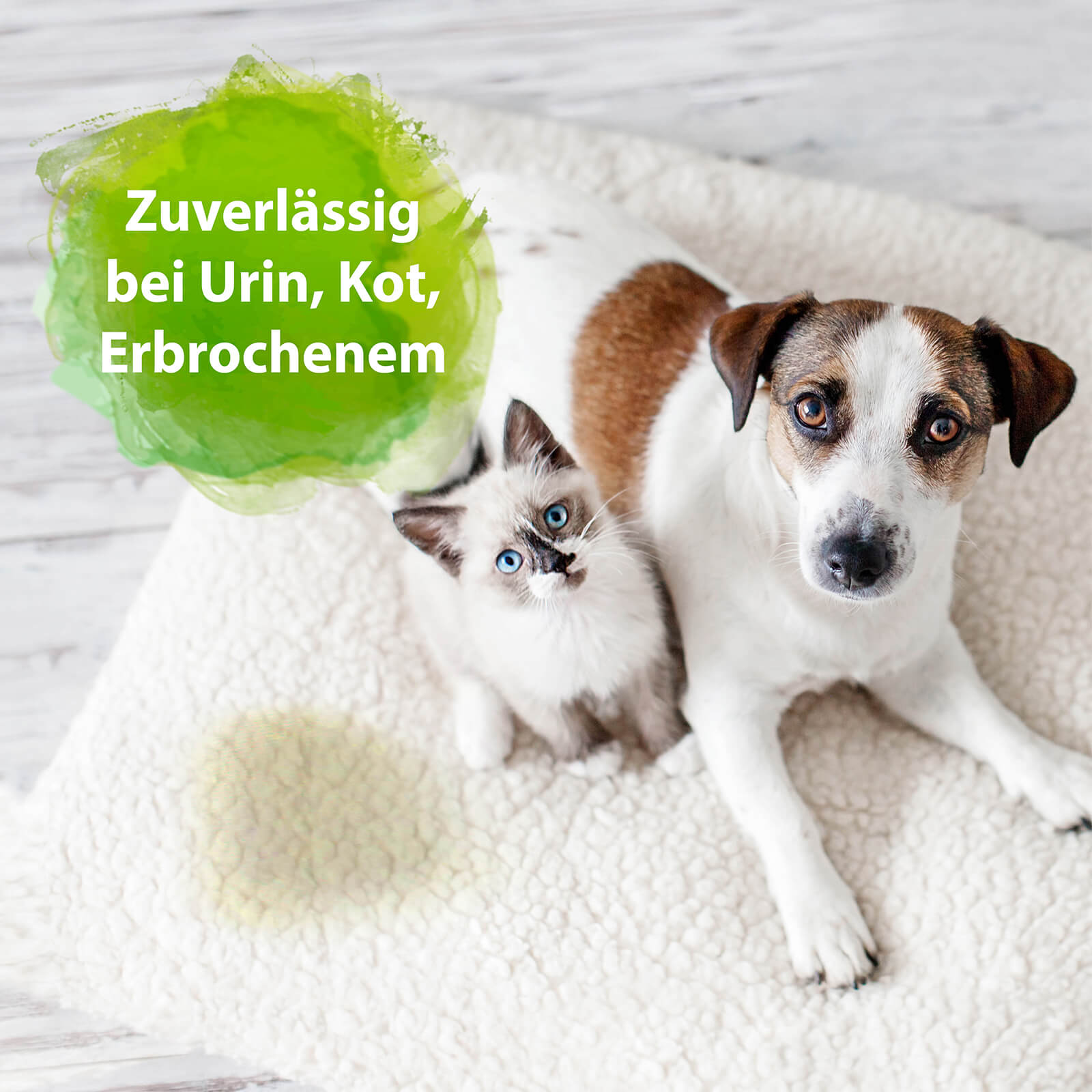 Bactador Geruchs- und Fleckenentferner Enzymreiniger 3er Pack