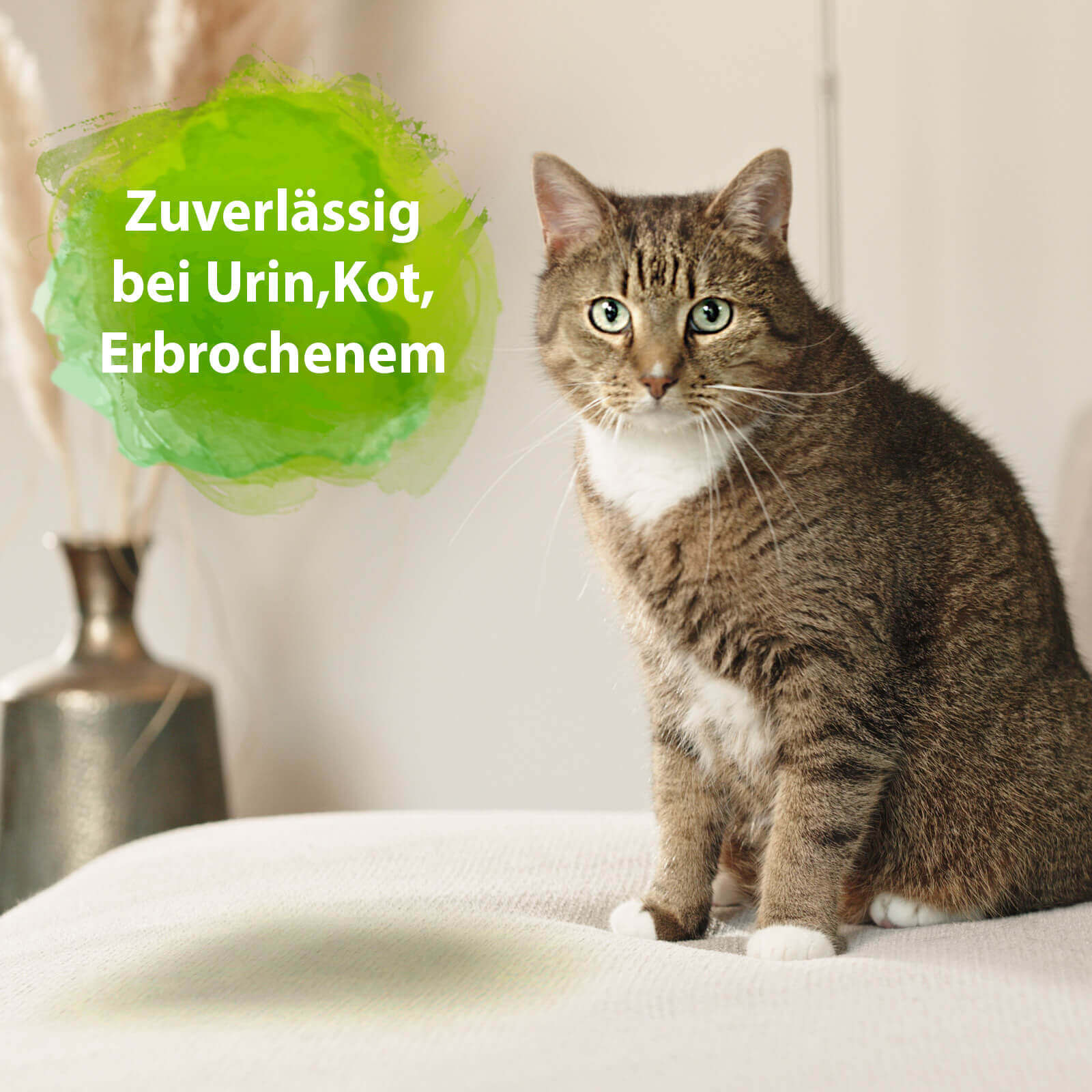 Bactador Frische-Set Katzenhaushalt Geruchsentferner Set 2-teilig